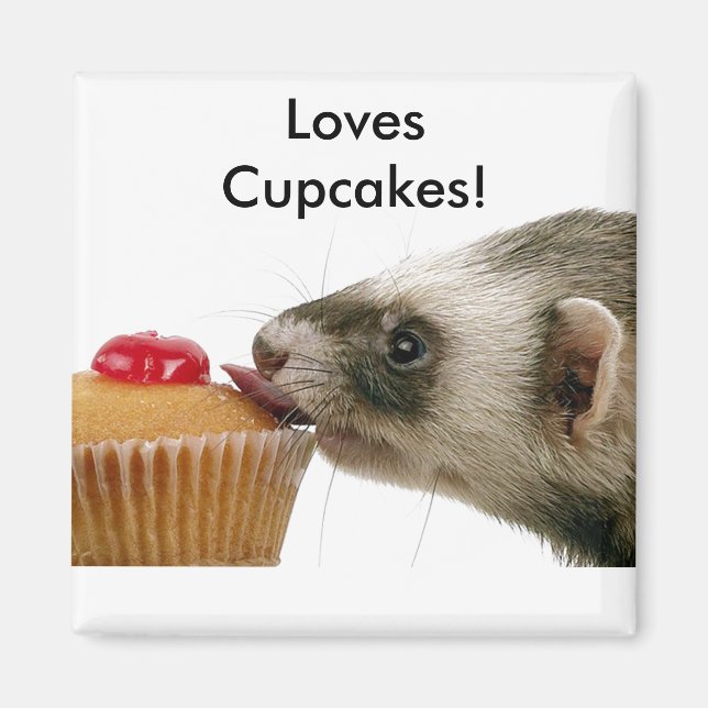 Ferrets Love Cupcakes Magnet (Front)