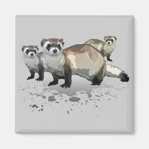Ferrets Magnet