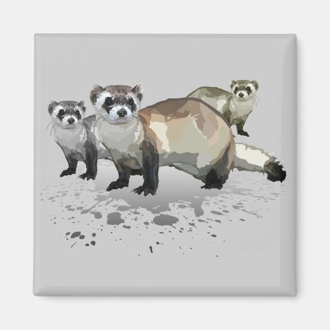 Ferrets Magnet (Front)