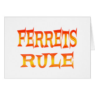 Ferrets Rule