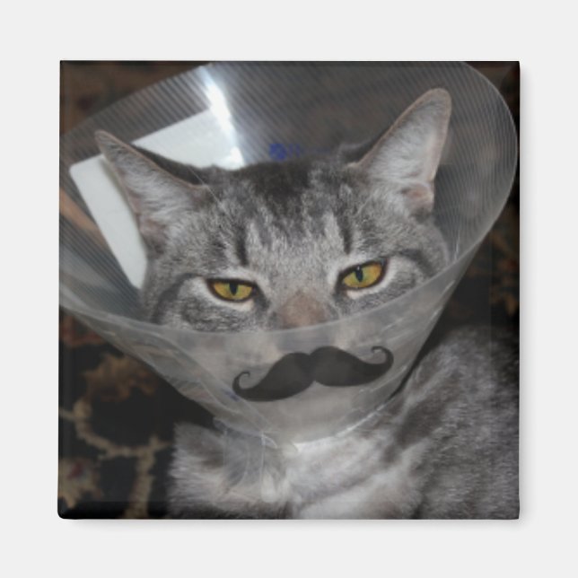 ferris mewler Magnet (Front)