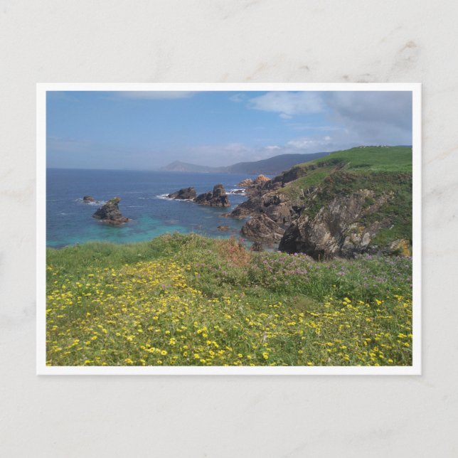 Ferrol, Galicia (Spain) Postcard (Front)