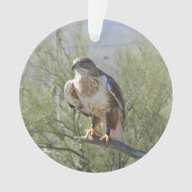 Ferruginous Hawk Ornament (Front)
