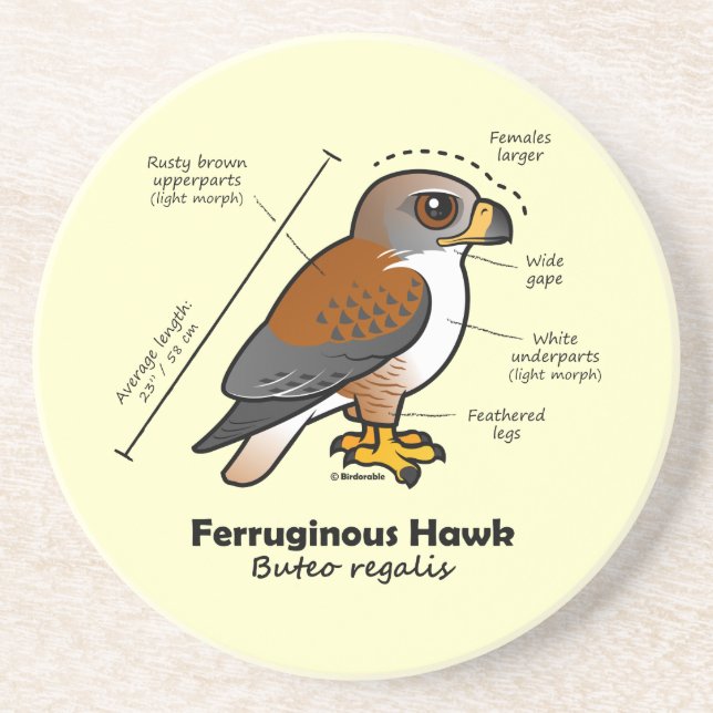 Ferruginous Hawk Statistics Coaster (Front)