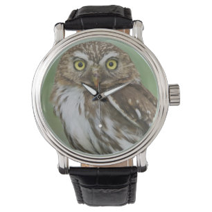 Ferruginous Pygmy-Owl, Glaucidium brasilianum, 3 Watch