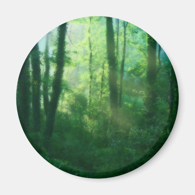 Fertility Magnet (Front)