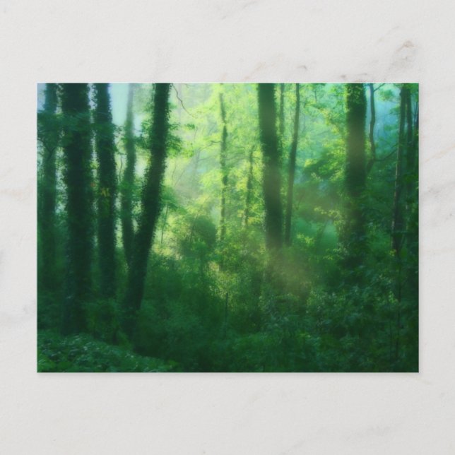 Fertility Postcard (Front)