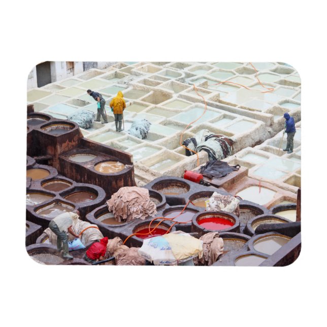 Fes tanneries, Morocco Magnet (Horizontal)