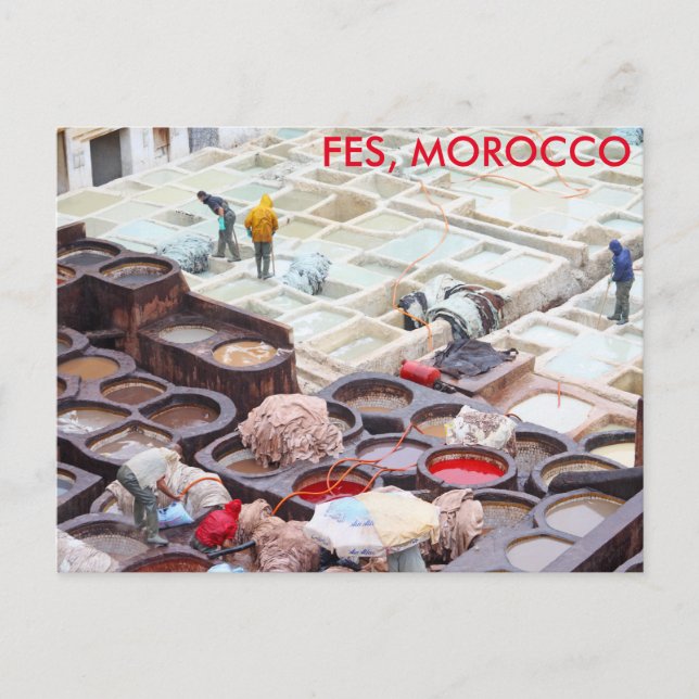 Fes tanneries, Morocco Postcard (Front)
