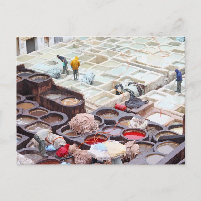 Fes tanneries, Morocco Postcard (Front)