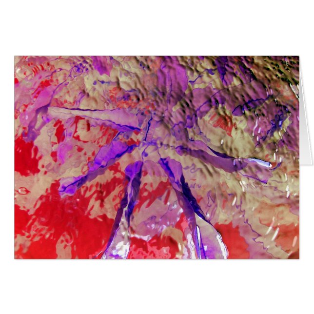 Festival Digital (Front Horizontal)