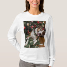 Festival Dog: Ready for the Tree