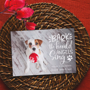 Festive Barks   Pet Photo Holiday Card