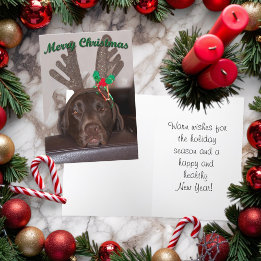 Festive Christmas Dog With Glitter Antlers Holiday Card
