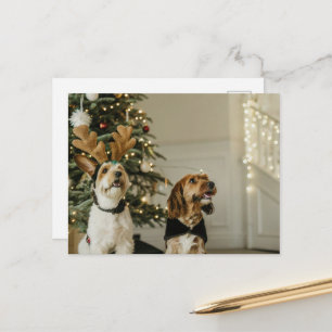 Festive Christmas Dogs Holiday Cheer Postcard