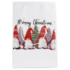 festive Christmas Holiday gnomes