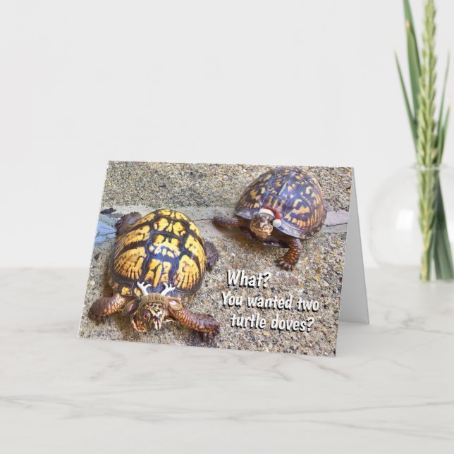 Festive Christmas Turtles Card (Front)