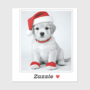 Festive dog in Christmas Costumes - Holiday Vibes