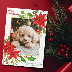 Festive Dog Photo Red Christmas Poinsettia Magnet