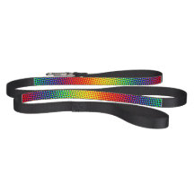 Festive Dots Rainbow Cool Cheerful Fun Colourful