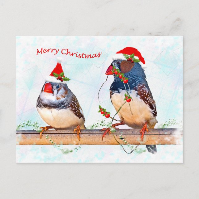 Festive Finches Postcard (Front)