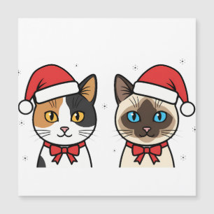 Festive Gifts & Party Fun