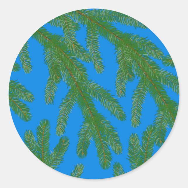 Festive Green fir tree branches and twigs Blue   Classic Round Sticker (Front)