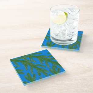 Festive Green fir tree branches and twigs Blue  Glass Coaster