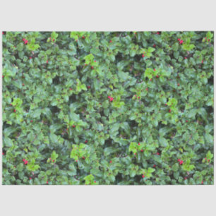 Festive Green Holly Berry Christmas Tissue Paper