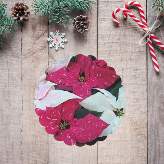 Festive Holiday Poinsettias Floral Paper Coaster (In Situ Holiday)