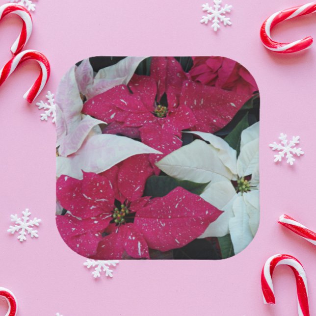Festive Holiday Poinsettias Floral Paper Plate (In Situ Holiday)
