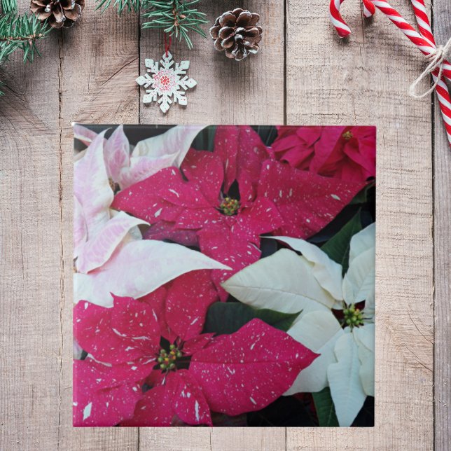 Festive Holiday Poinsettias Floral Tile (In Situ Holiday)