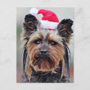 Festive Holiday Postcard