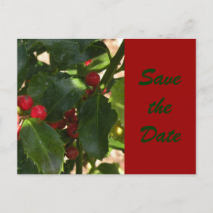 Festive Holly Save the Date Postcard