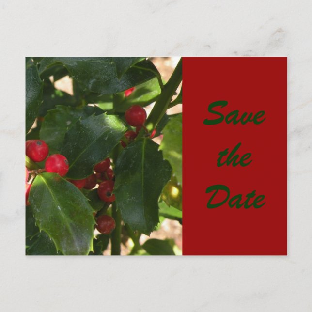 Festive Holly Save the Date Postcard (Front)