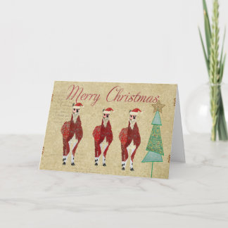 Festive Llamas Merry Christmas Card