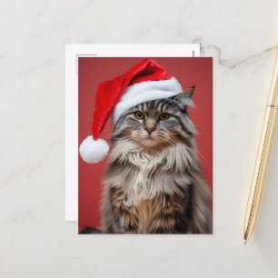 Festive Maine Coon Cat in Santa Hat Christmas Holiday Postcard