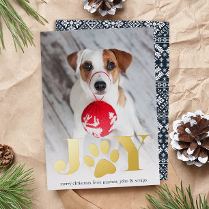 Festive Paws   Pet Photo