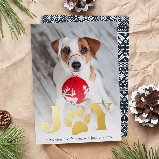 Festive Paws | Pet Photo (Creator Uploaded)