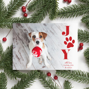 Festive Paws   Pet Photo Holiday Card