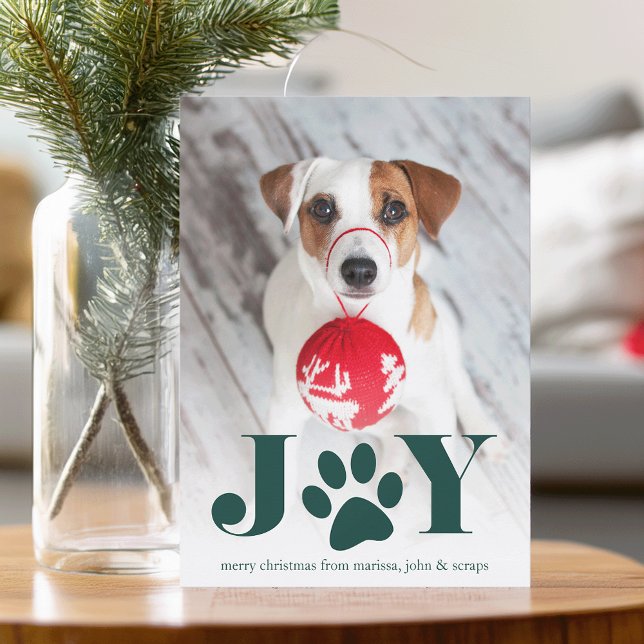 Festive Paws | Pet Photo Holiday Card (Creator Uploaded)