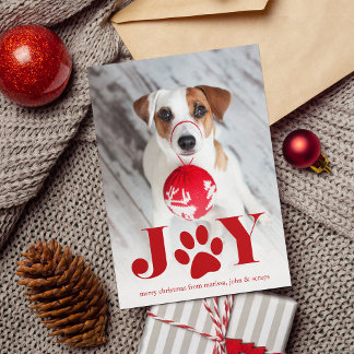Festive Paws | Pet Photo Holiday Card