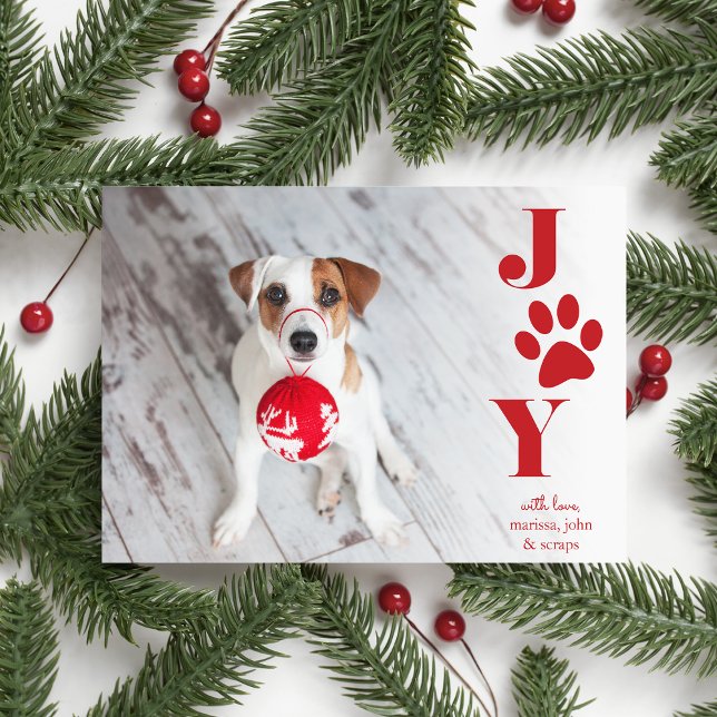 Festive Paws | Pet Photo Holiday Card (Creator Uploaded)