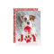 Festive Paws | Pet Photo Holiday Card