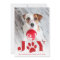 Festive Paws | Pet Photo Holiday Card