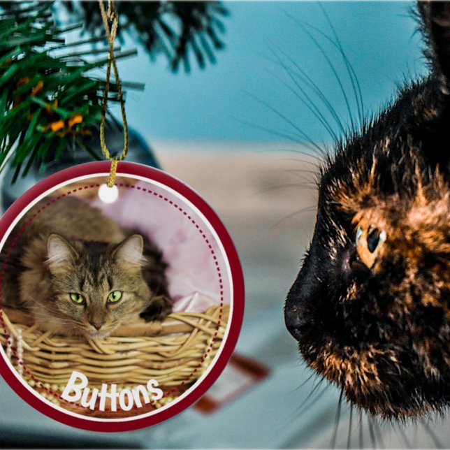 Festive Pet Photo 2021 Christmas   Ceramic Ornamen Tree Decoration (Creator Uploaded)