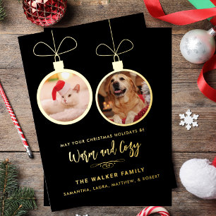 Festive Pet Photos Script Modern Christmas