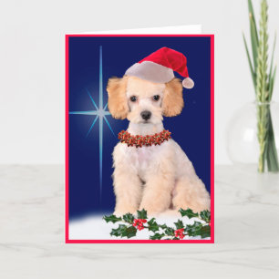 Festive Poodle Holiday Greeting Card