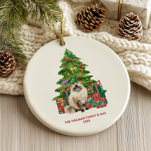 Festive Ragdoll Cat Christmas Ornament