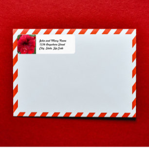 Festive Red Amaryllis Floral Return Address